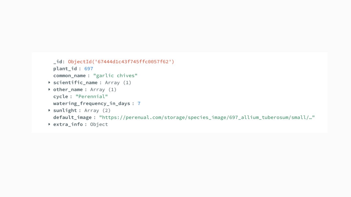 Screenshot of the MongoDB API data structure for a plant, featuring extra information about the plant such as scientific name and watering frequency.