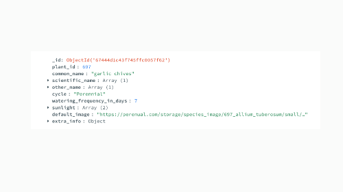 Screenshot of the MongoDB API data structure for a plant, featuring extra information about the plant such as scientific name and watering frequency.